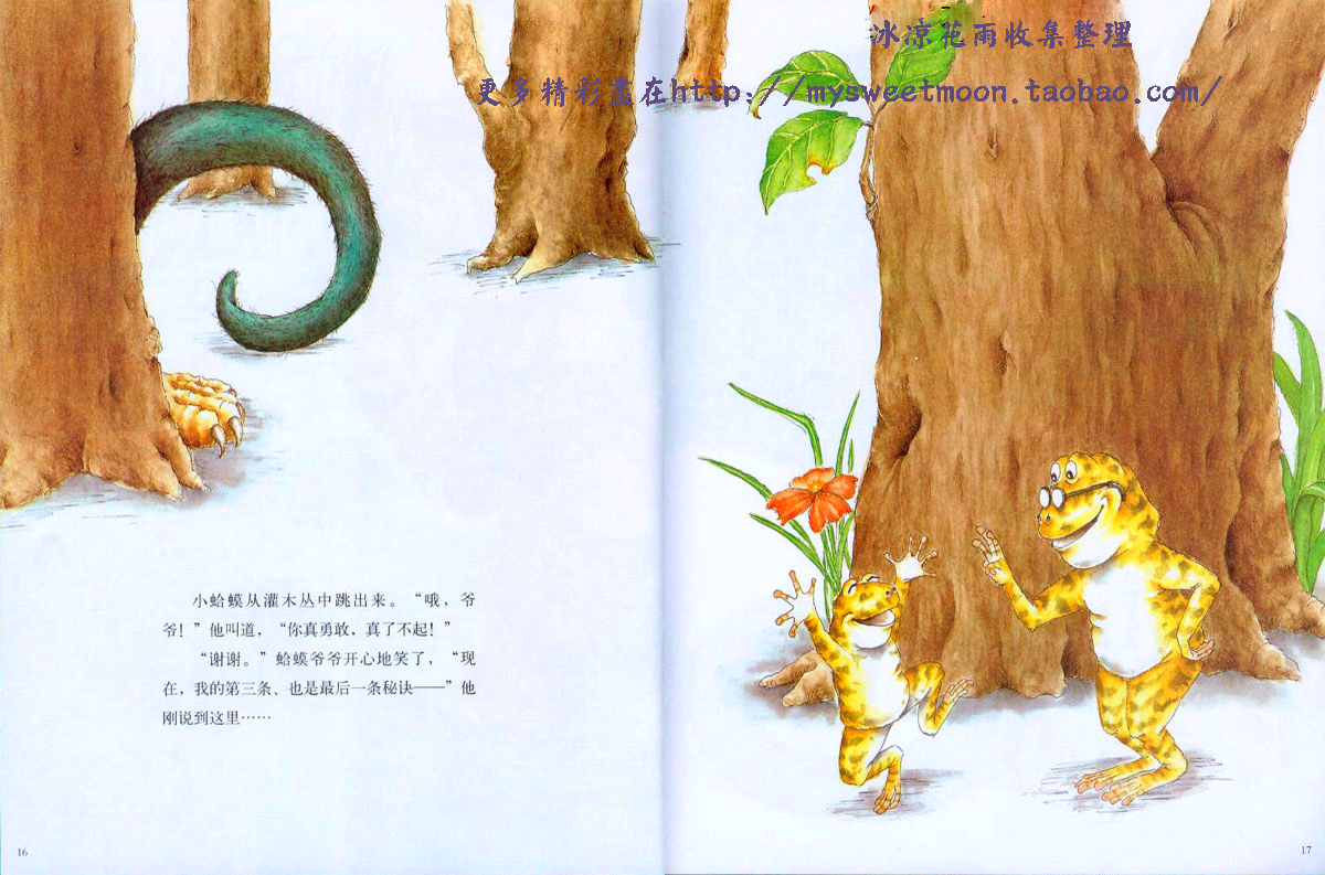 蛤蟆爷爷的秘诀 (07),绘本,绘本故事,绘本阅读,故事书,童书,图画书,课外阅读
